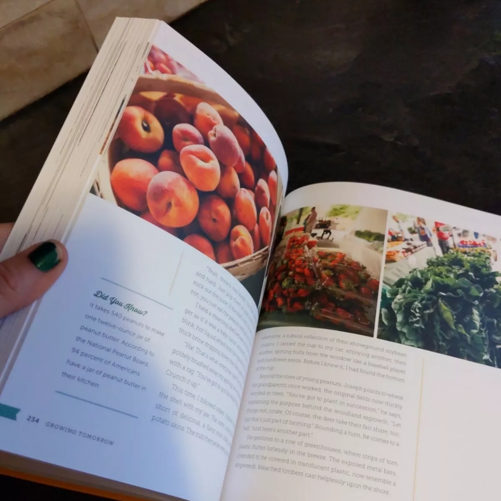 Book - Picture 2 of 8
